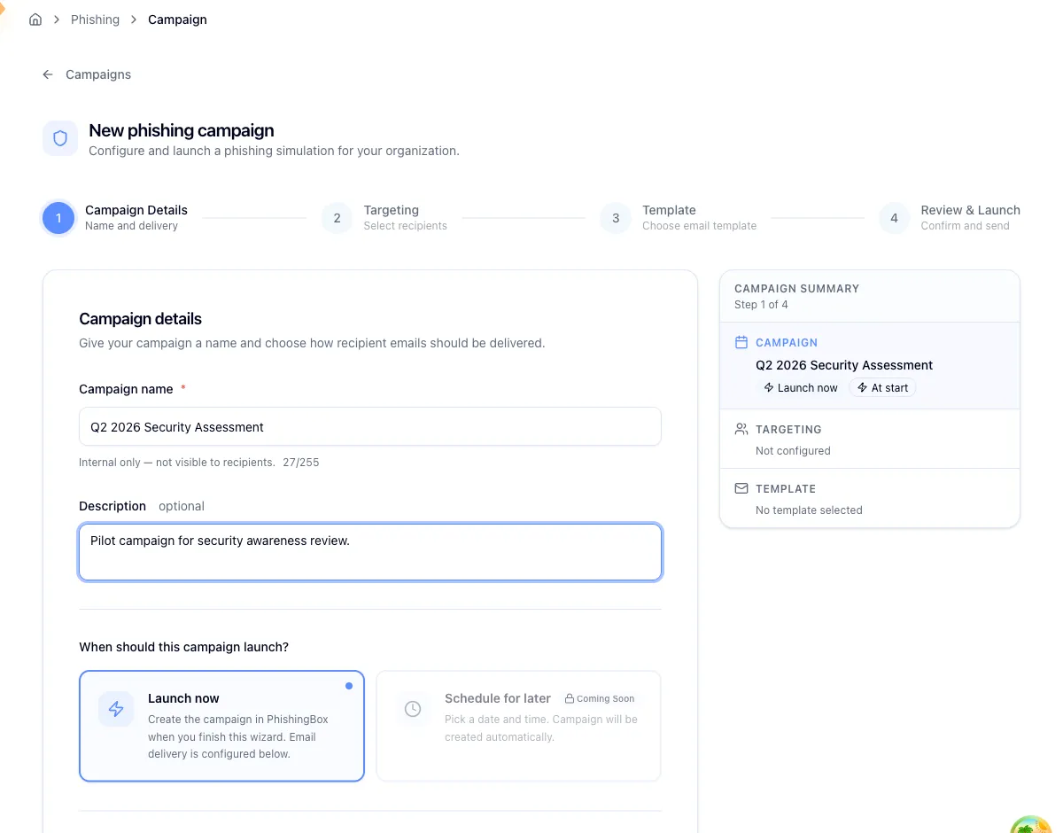 Wizard step one with the campaign name, launch timing, and delivery timing fields